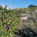 Rosa Do Canto