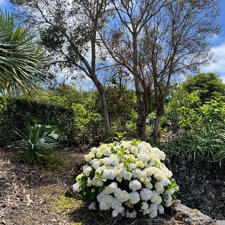 בית נופש Rosa Do Canto Monte (Azores)