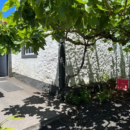 Rosa Do Canto בית נופש Monte (Azores)