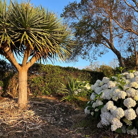 Rosa Do Canto Holiday home Monte (Azores)