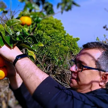 Rosa Do Canto בית נופש