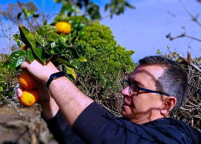 Rosa Do Canto Holiday home